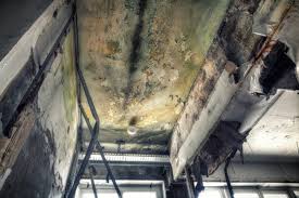 Best Industrial Mold Remediation  in Peotone, IL